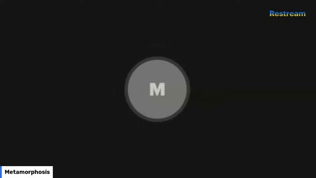 Multistreaming with Restream.io