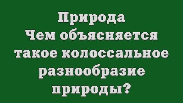 Природа. Чем объясняется такое колоссальное разнообразие природы_