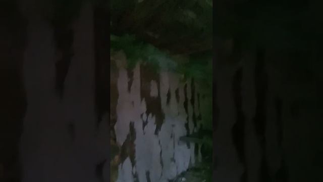 Как избавится и предотвратить появление паразитов(блох) в курятнике и на курах.