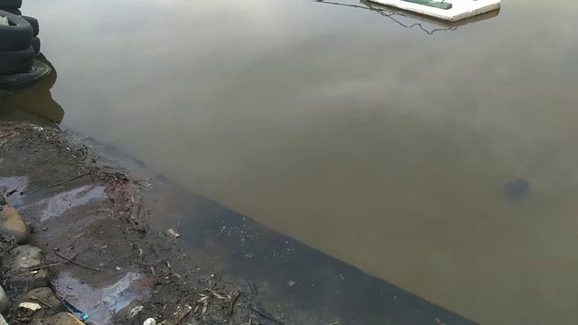 Поізтка в Солотвино