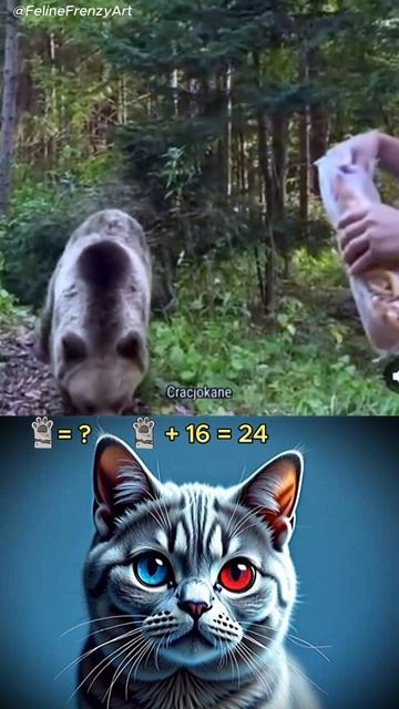 Не кормите мишек близко