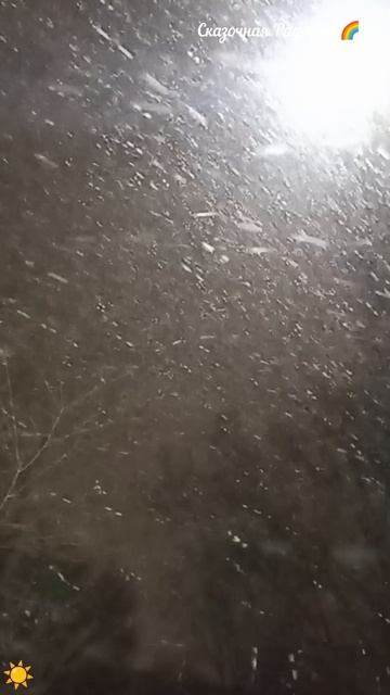 15-02-2025 В любимую дату Метель 💨❄️ Красота 😍