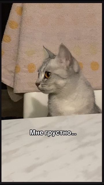 15-02-2025