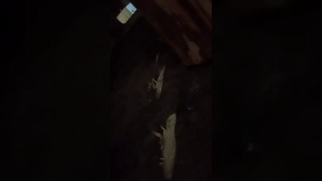 1000040582.mp4