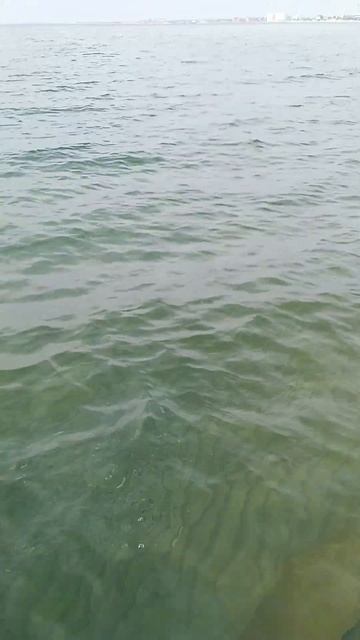 Морская водичка весной #анапа #море #dronpdl #travel #пляж