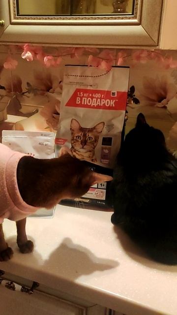 Из жизни 23: каждый узнал свой пакетик 😁