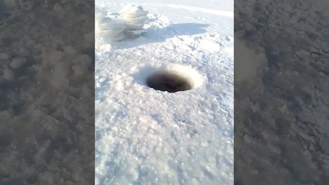 Ну что, замерз Федор?
