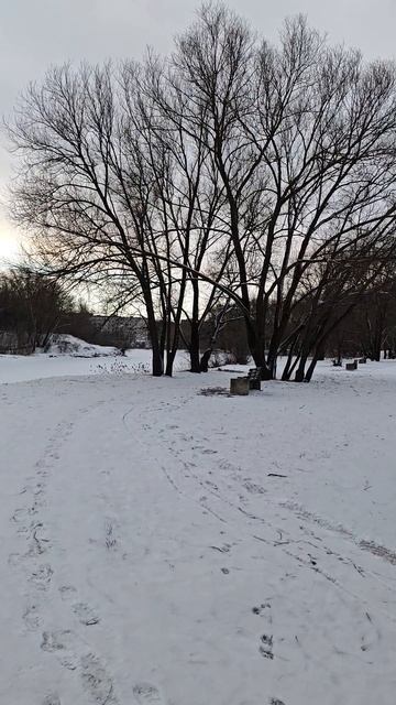 г.Тверь 15.02.25 ⏰9:00АМ, -11°