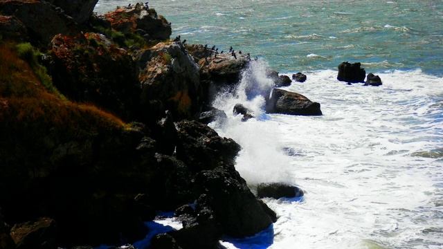 мамочка на море