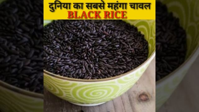 #दुनिया का सबसे महंगा चावल BLACK RICE #shorts #youtubeshortsindia #ytshortsfeature #ytindiashorts