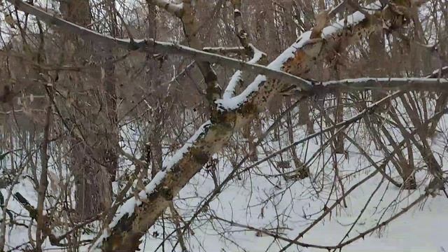 Барская усадьба! Когда то здесь кипела жизнь...