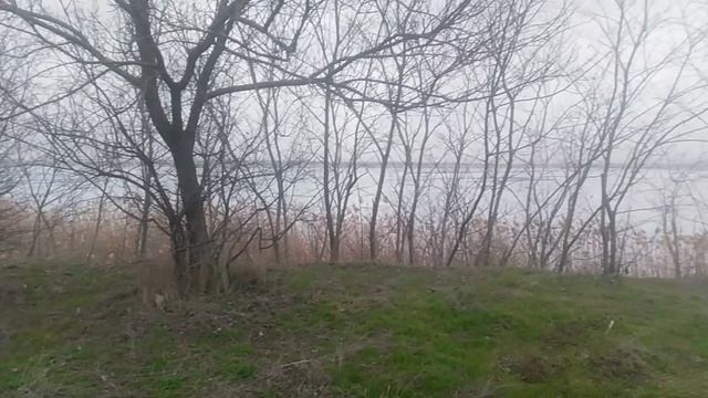 VID_20250215_150955