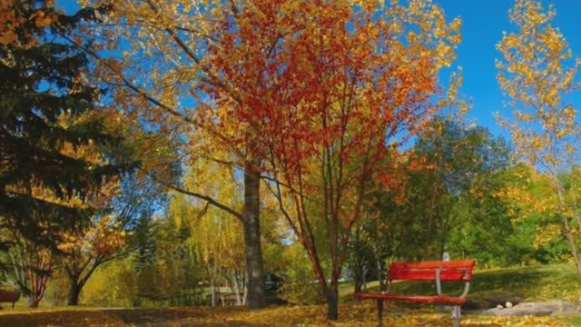 А.Серов Осенняя роса
