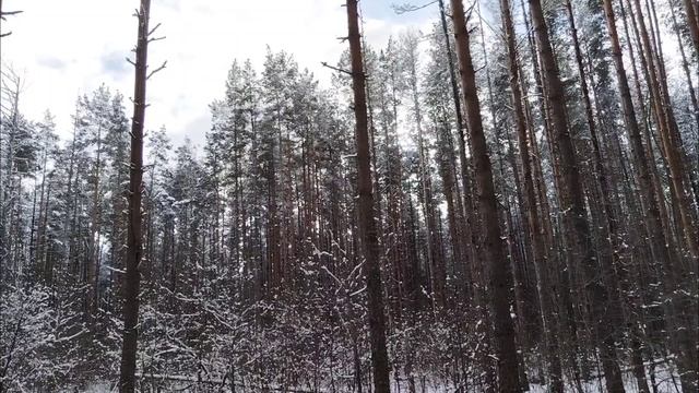 Зимняя сказка продолжается. Часть 2: видео