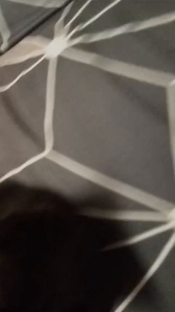 VID-20241230-WA0001.mp4