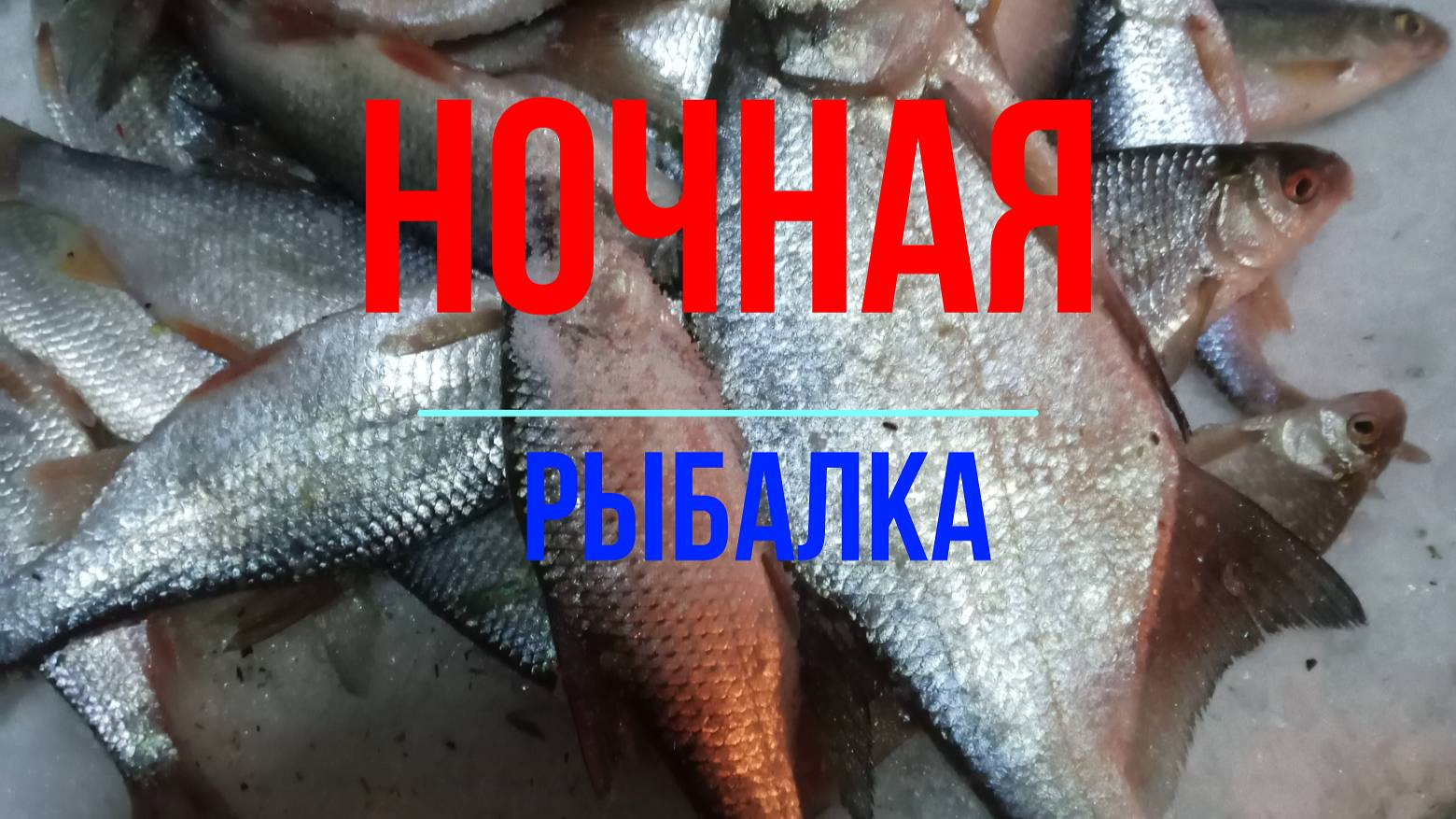 Ночная рыбалка,ПЛОТВА,ПОДЛЕЩИК.