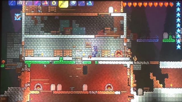 3 интересных факта игры Terraria