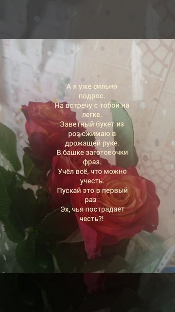 15-02-2025