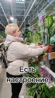 Когда жена орхоман. Орхоманы поймут...