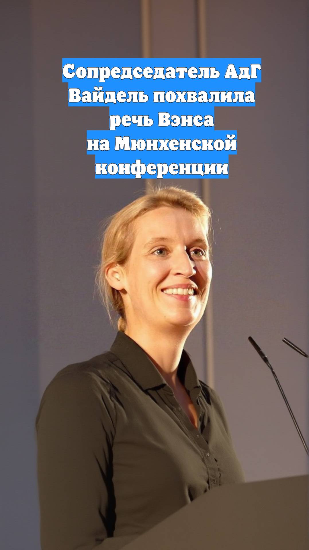 Сопредседатель АдГ Вайдель похвалила речь Вэнса на Мюнхенской конференции