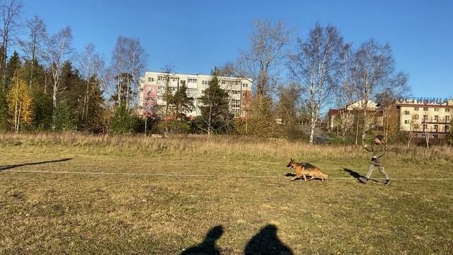 Карма. Ринги.