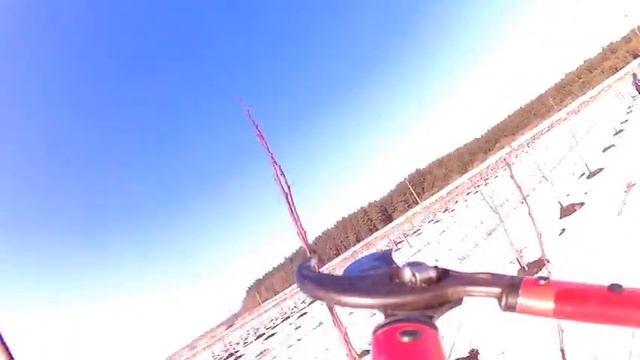 Обрізка слива  2017 #Game