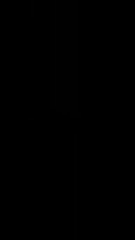 Damora - History of the war