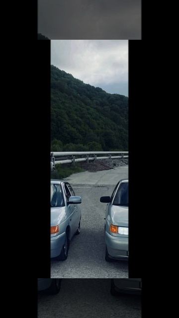 1000011205.mp4