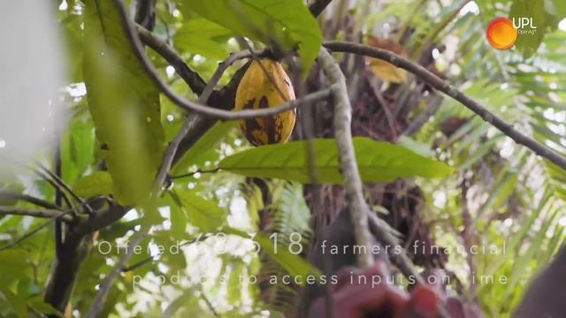 Cocoa & Forests Initiative