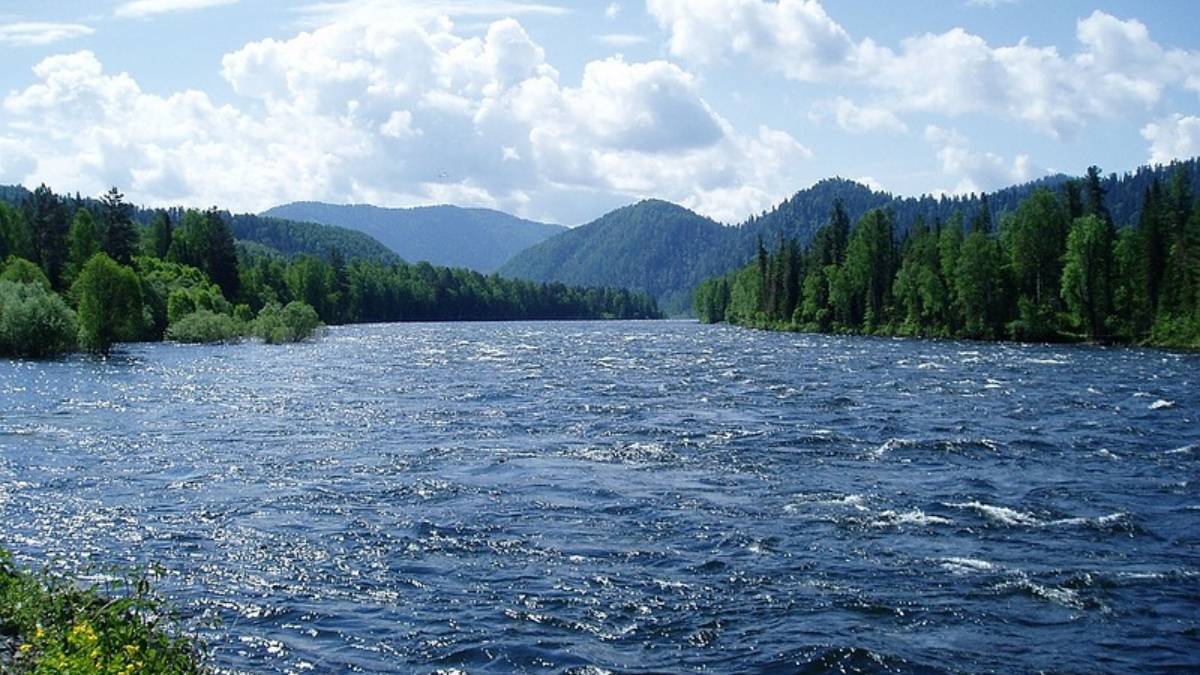 На всех хватит