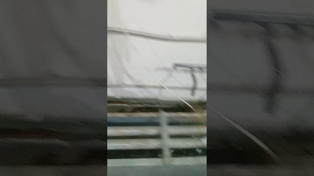 VID_20250123_111930.mp4