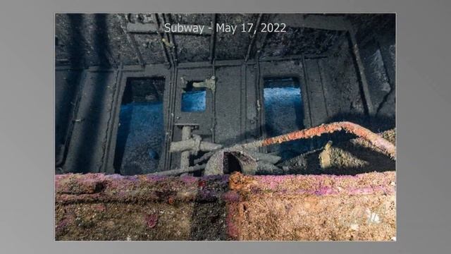 Alpha Divers Roatan, Honduras   Turquoise Bay  May 17, 2022