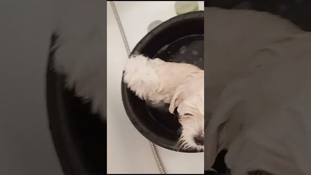 1000351738.mp4