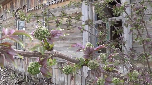 д Усово, Бондарский район