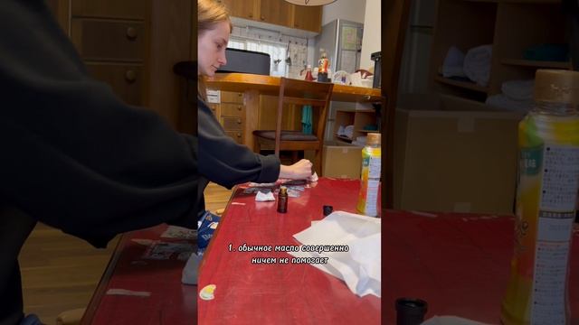Пытаюсь отмыть японский дом