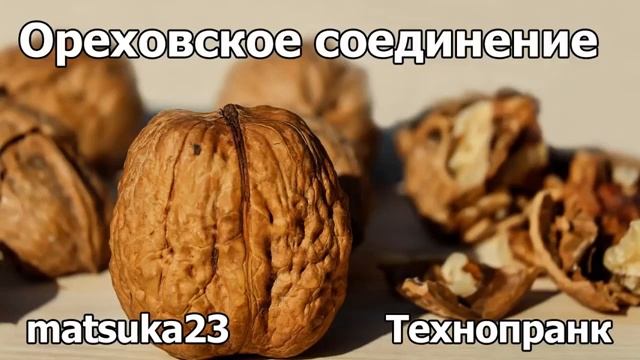 ОРЕХОВСКОЕ СОЕДИНЕНИЕ  Технопранк от Matsuka23