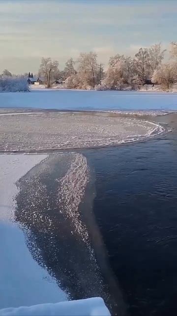 🤔Муж. на реке Тихонка заснял стр.явление—ровный ледяной круг,выглядящий словно выточенный циркулем