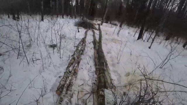 Валка леса // Создавали программиста - получился вальщик // Stihl ms361