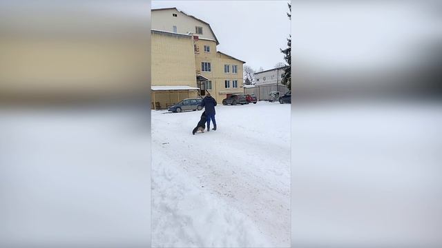 Юта. Подготовка к ОКД.