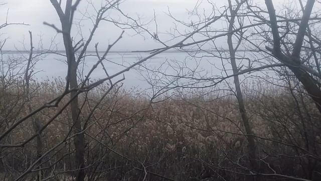 VID_20250215_150539
