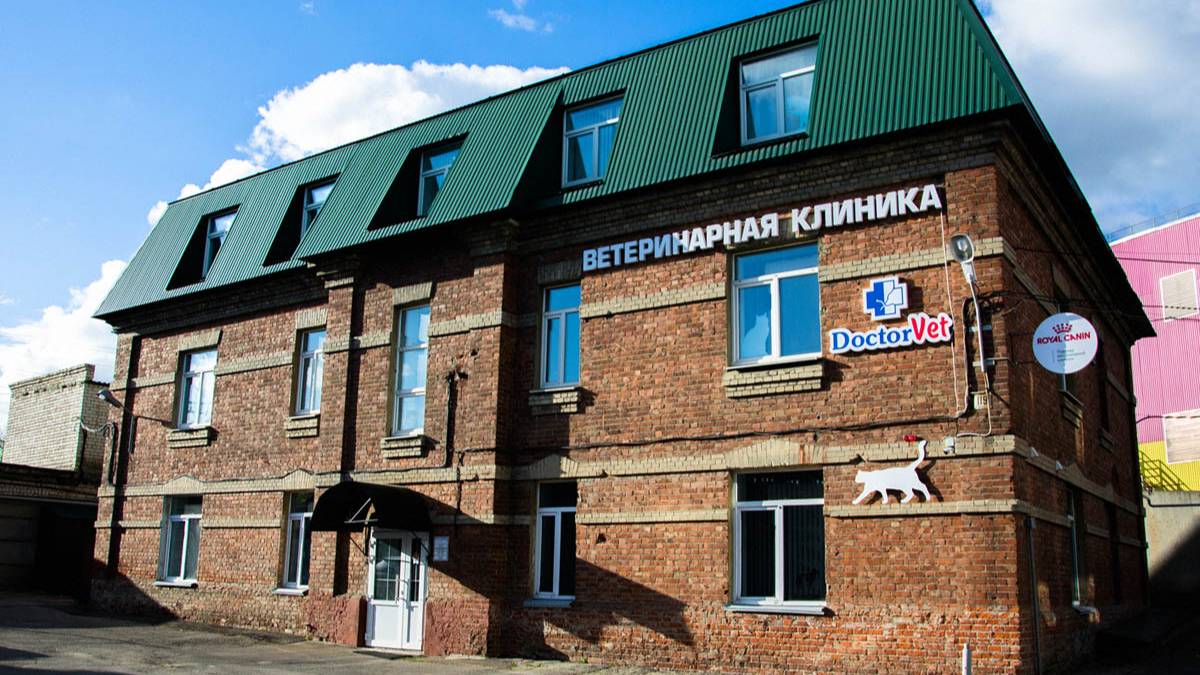 Знакомство с «Doctor Vet», город Саратов, улица Орджоникидзе, дом 119