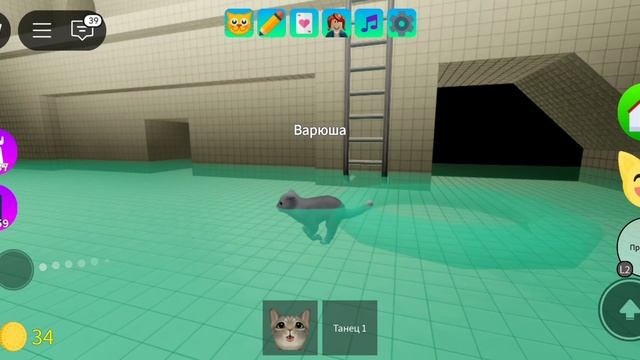 Часть 2 приключение котят 😺