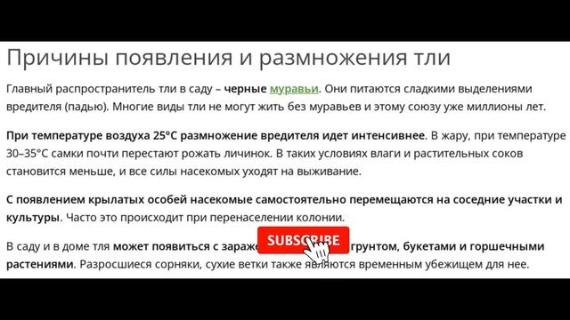 Пришло время избавиться от надоедливой тли и спасти урожай