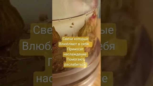 Ботанические свечи
