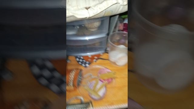 делаю обед собачкам