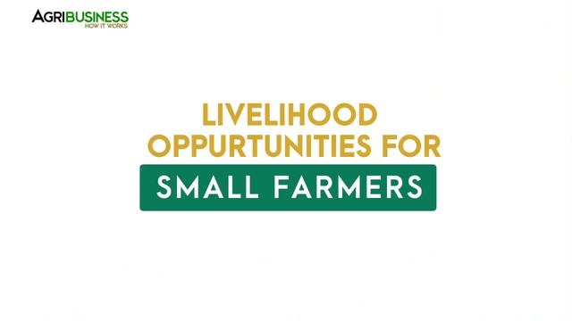 Corn Silage Business: Corn Silage Sub Grower Program of Joni and Susan Agroshop