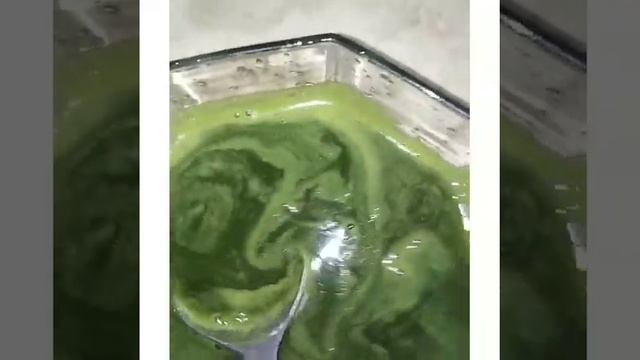 Mint or Gur ka Karant  Sharbat