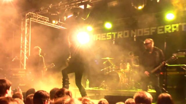 Maestro Nosferatu - Baby - Live @ Volta club, Moscow 17.02.2017