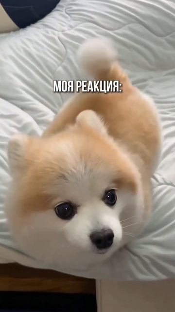 25 мая 2024 г.
