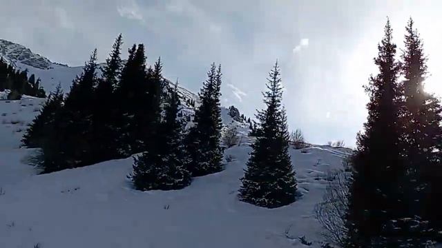 Подъем на последнюю 3ю ступень горы Шымбулак, высота 3200. 14.02,межд.Форум МаЭД вАлма-Ате,Казахстан